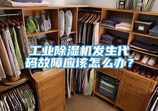 工业除湿机发生代码故障应该怎么办？