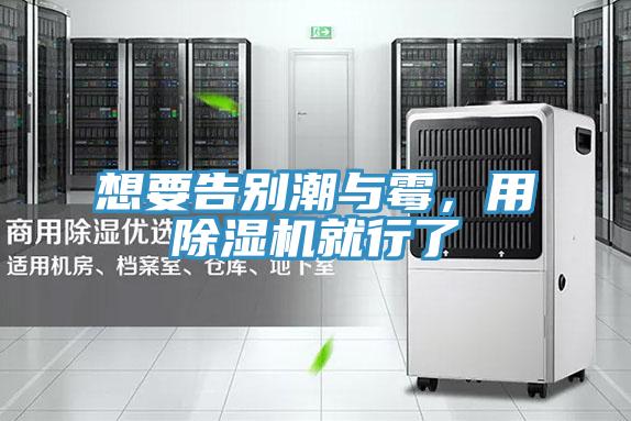 想要告别潮与霉，用除湿机就行了