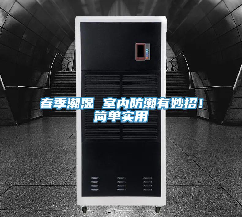 春季潮湿 室内防潮有妙招！简单实用