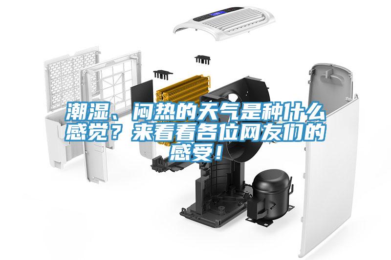 潮湿、闷热的天气是种什么感觉？来看看各位网友们的感受！