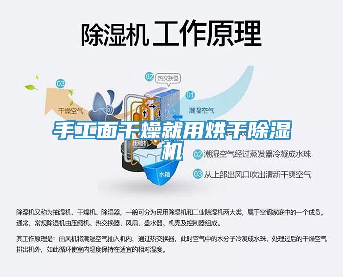 手工面干燥就用烘干除湿机