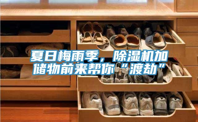 夏日梅雨季，除湿机加储物前来帮你“渡劫”