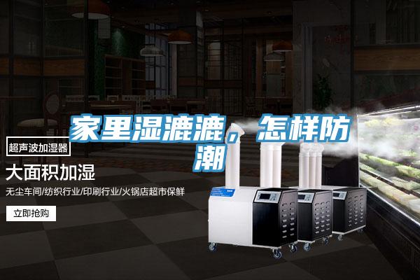 家里湿漉漉，怎样防潮