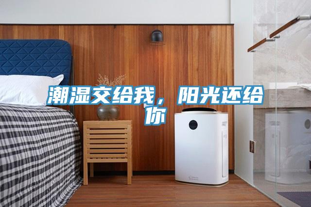 潮湿交给我，阳光还给你