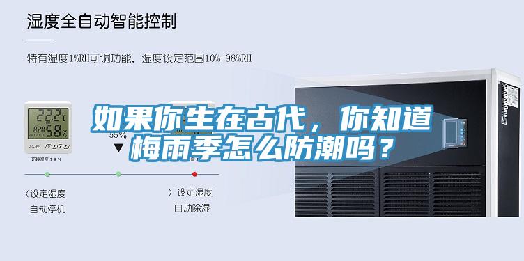如果你生在古代，你知道梅雨季怎么防潮吗？