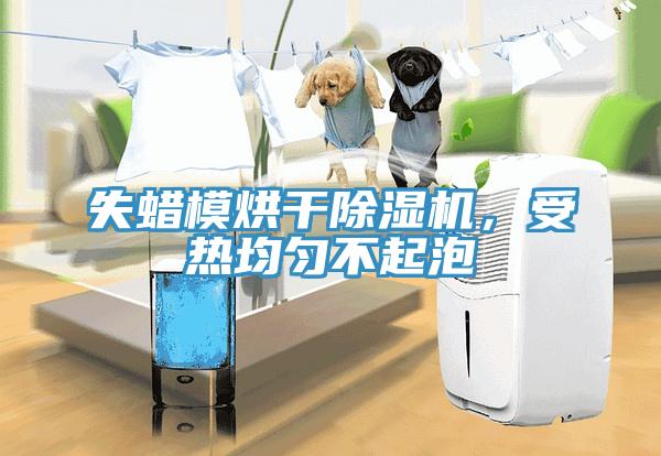 失蜡模烘干除湿机，受热均匀不起泡
