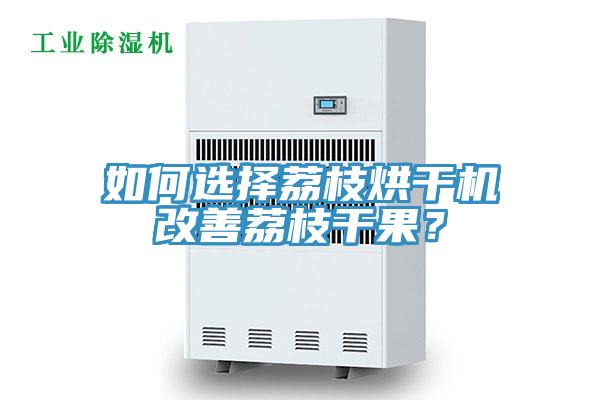 如何选择荔枝烘干机改善荔枝干果？