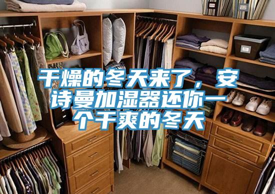 干燥的冬天来了，安诗曼加湿器还你一个干爽的冬天