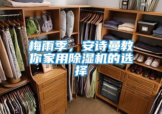 梅雨季，安诗曼教你家用除湿机的选择