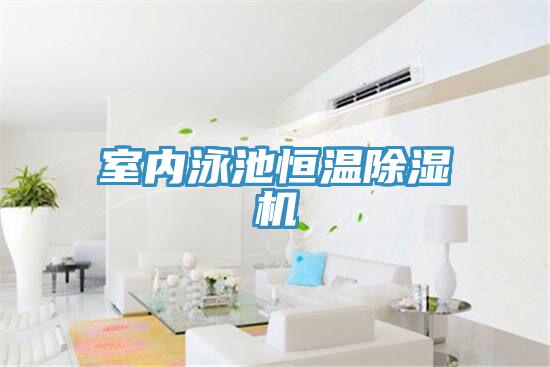 室内泳池恒温除湿机