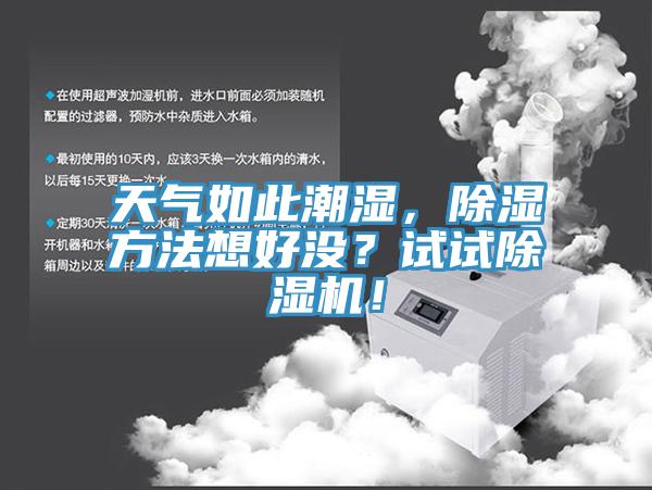 天气如此潮湿，除湿方法想好没？试试除湿机！