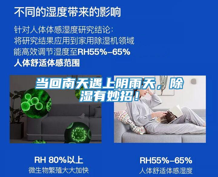 当回南天遇上阴雨天，除湿有妙招！