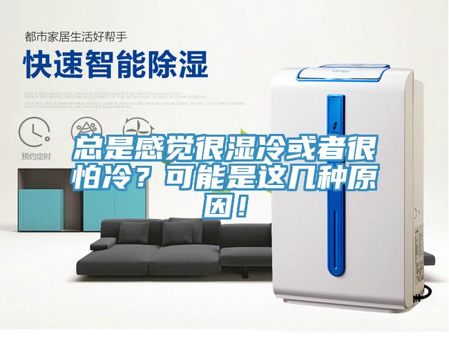 总是感觉很湿冷或者很怕冷？可能是这几种原因！