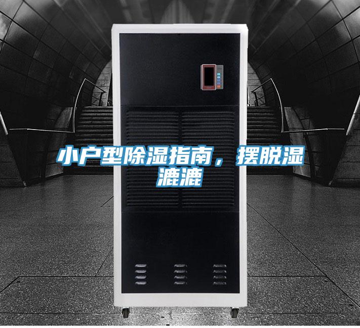 小户型除湿指南，摆脱湿漉漉
