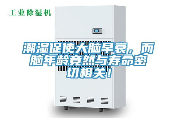 潮湿促使大脑早衰，而脑年龄竟然与寿命密切相关！