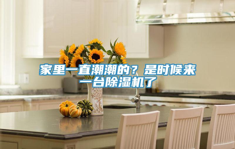 家里一直潮潮的？是时候来一台除湿机了