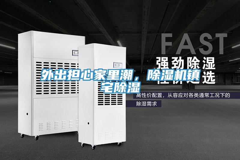 外出担心家里潮，除湿机镇宅除湿