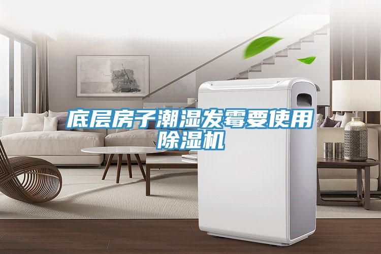 底层房子潮湿发霉要使用除湿机