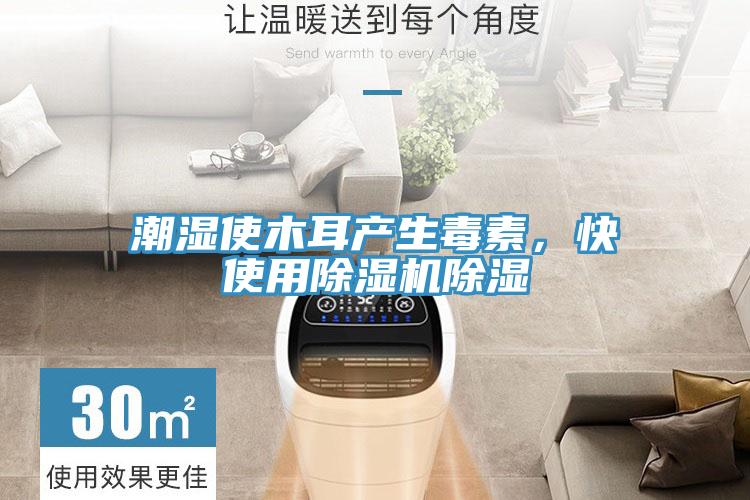 潮湿使木耳产生毒素，快使用除湿机除湿