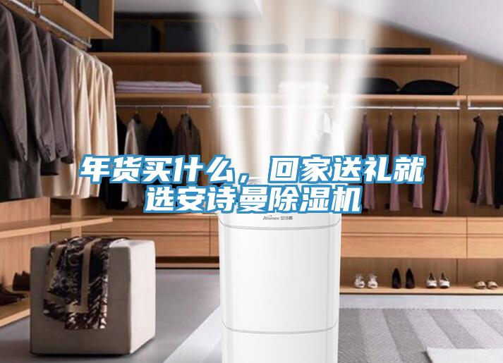 年货买什么，回家送礼就选安诗曼除湿机