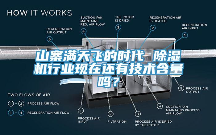 山寨满天飞的时代 除湿机行业现在还有技术含量吗？