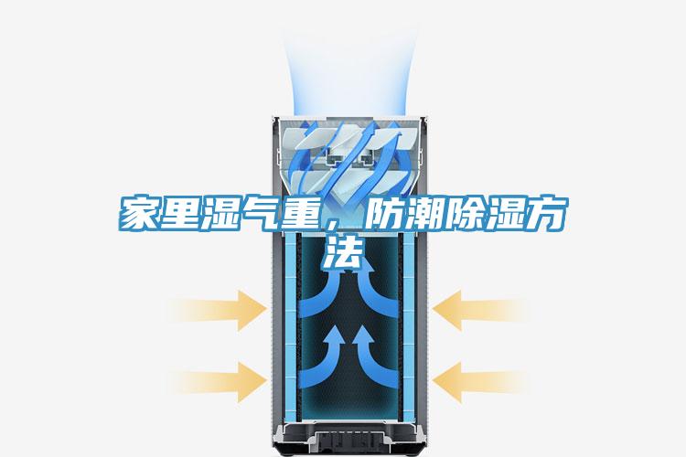 家里湿气重，防潮除湿方法