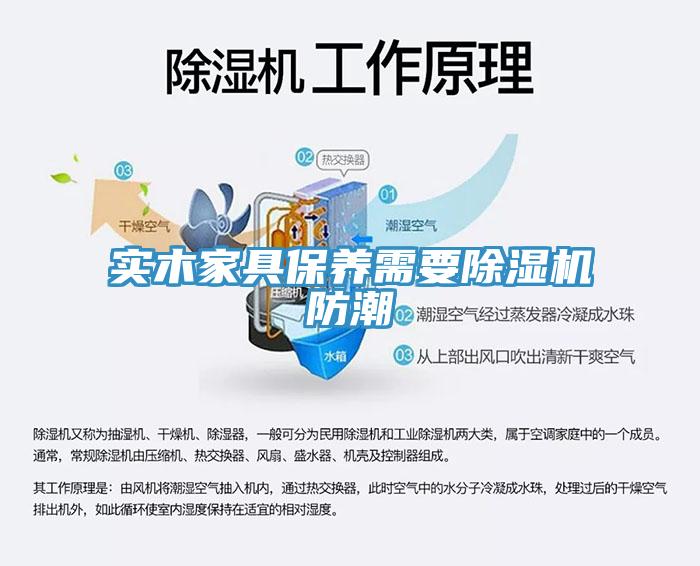 实木家具保养需要除湿机防潮