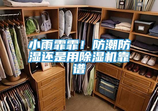 小雨霏霏！防潮防湿还是用除湿机靠谱