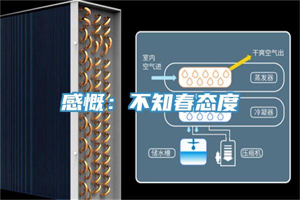 感慨：不知春态度