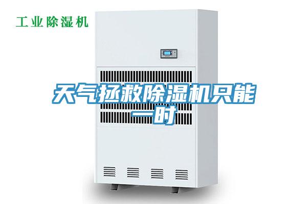 天气拯救除湿机只能一时