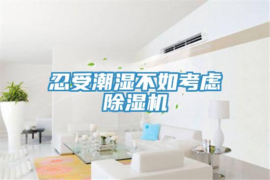 忍受潮湿不如考虑除湿机