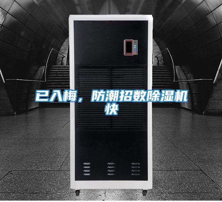 已入梅，防潮招数除湿机快
