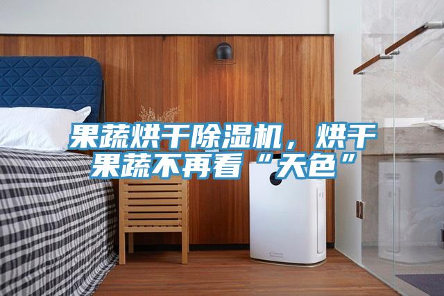 果蔬烘干除湿机，烘干果蔬不再看“天色”