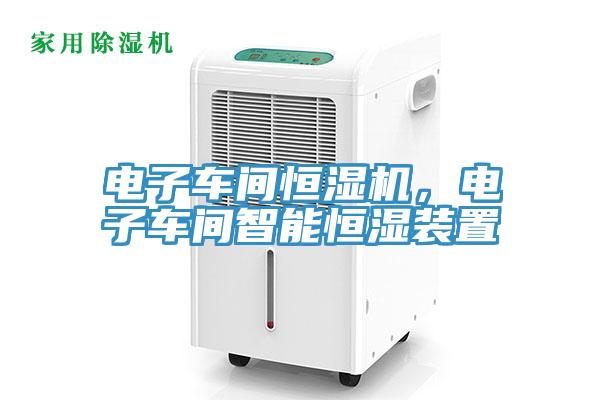 电子车间恒湿机，电子车间智能恒湿装置