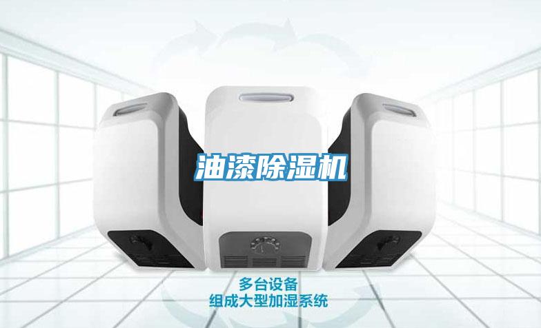 油漆除湿机