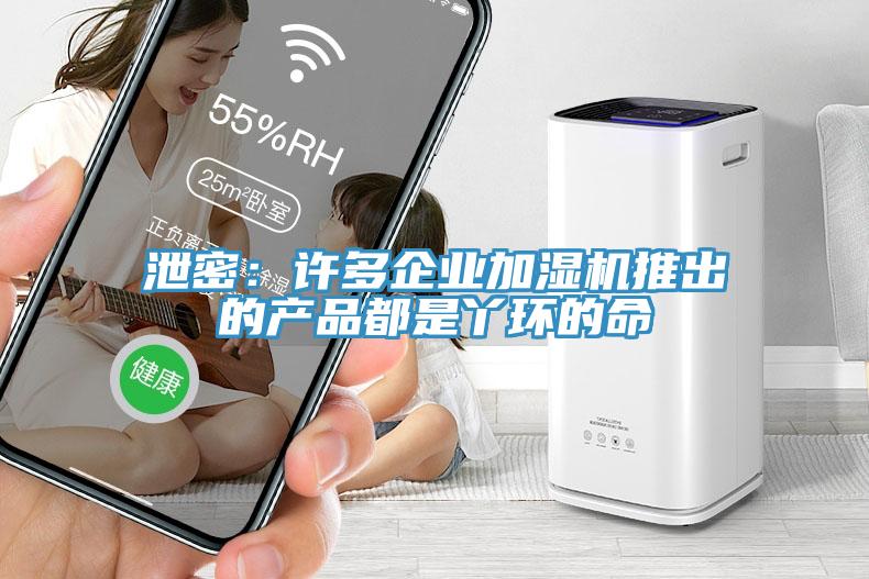 泄密：许多企业加湿机推出的产品都是丫环的命