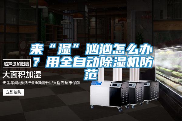 来“湿”汹汹怎么办？用全自动除湿机防范
