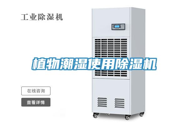 植物潮湿使用除湿机