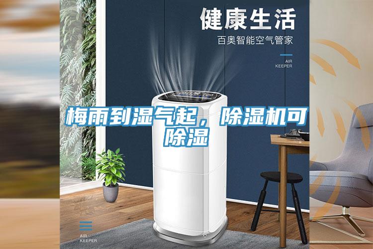 梅雨到湿气起，除湿机可除湿