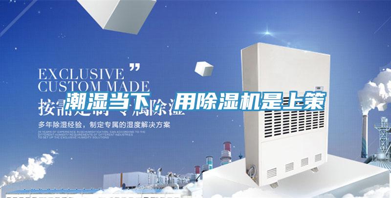 潮湿当下，用除湿机是上策