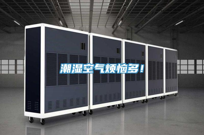潮湿空气烦恼多！