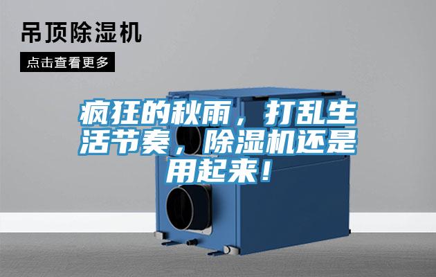 疯狂的秋雨，打乱生活节奏，除湿机还是用起来！