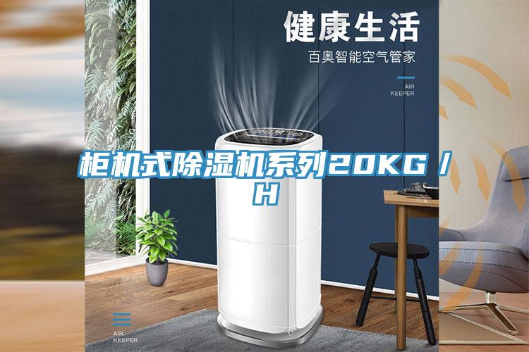柜机式除湿机系列20KG／H