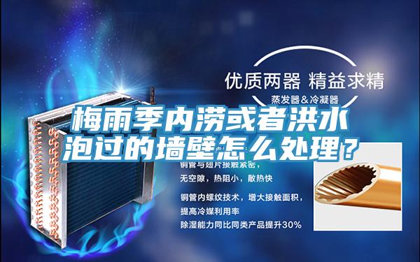 梅雨季内涝或者洪水泡过的墙壁怎么处理？