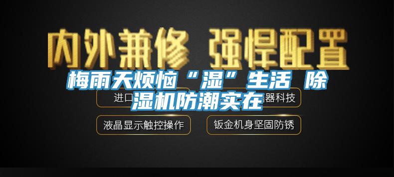 梅雨天烦恼“湿”生活 除湿机防潮实在