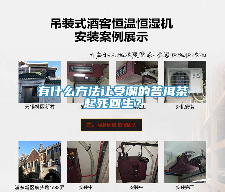 有什么方法让受潮的普洱茶起死回生？