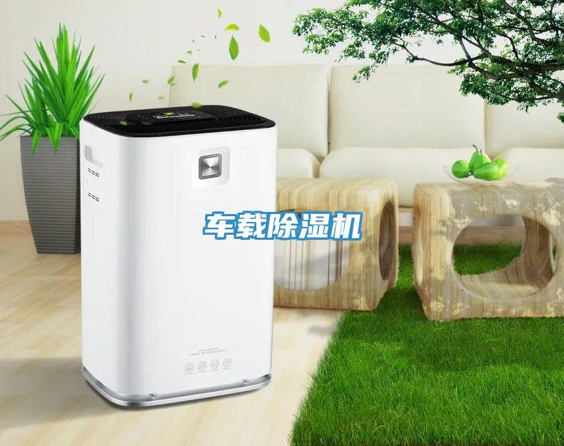 车载除湿机