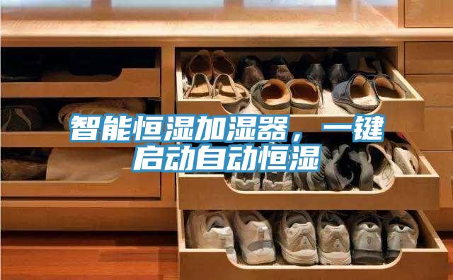 智能恒湿加湿器，一键启动自动恒湿
