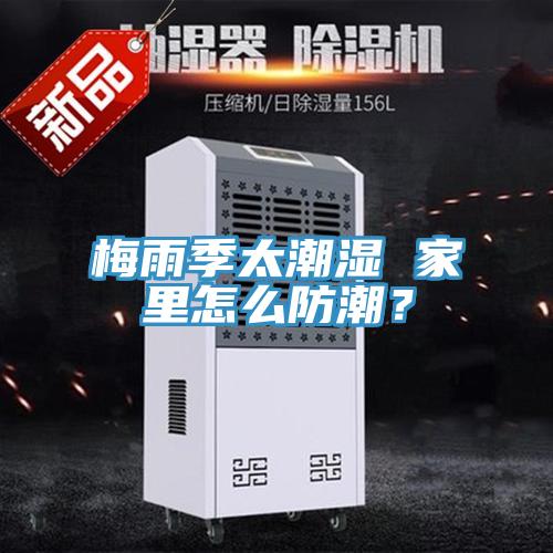 梅雨季太潮湿 家里怎么防潮？