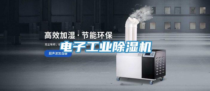 电子工业除湿机